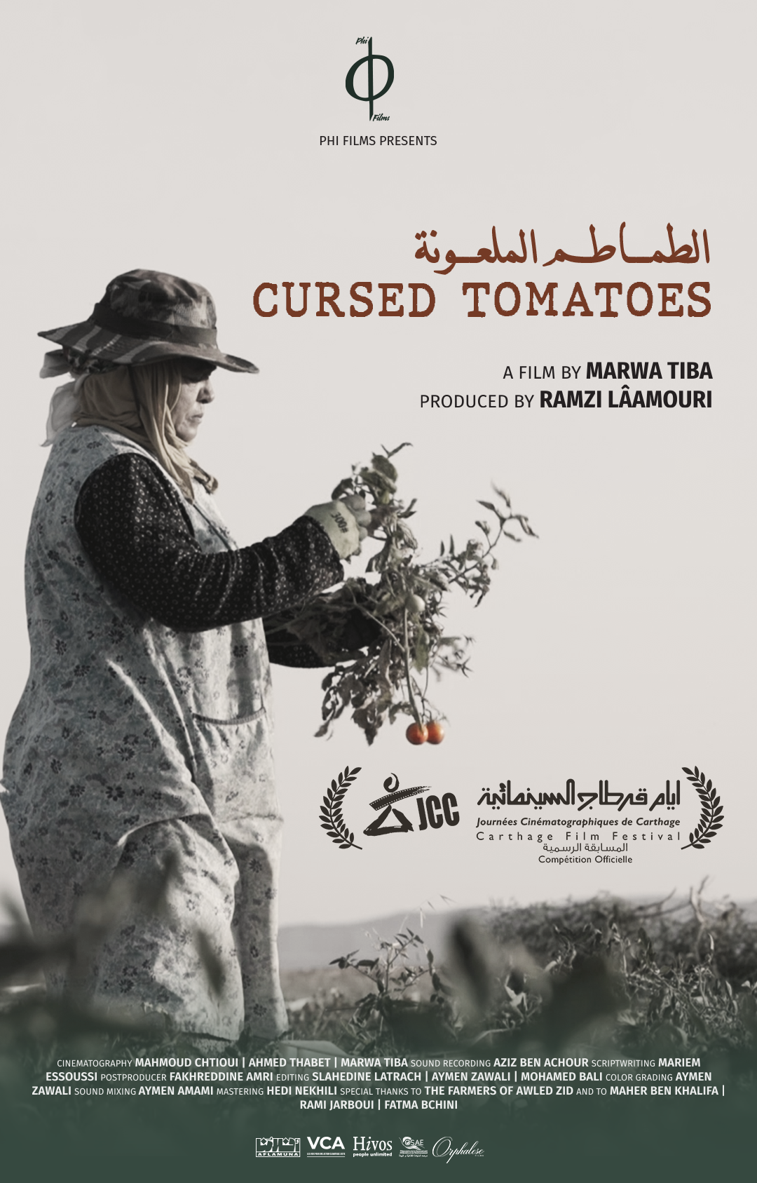 TOMATES MAUDITES