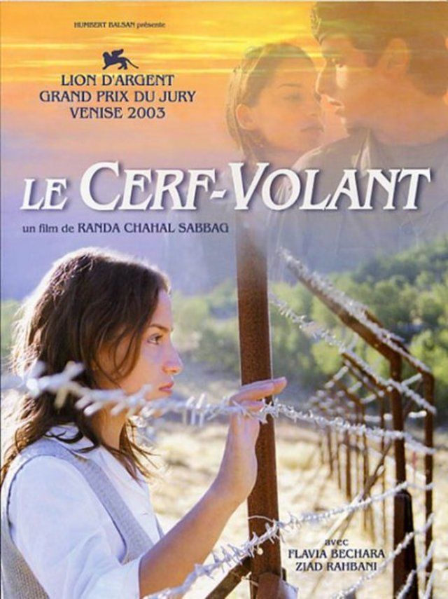 LE CERF-VOLANT